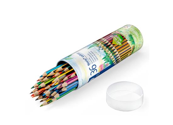 Staedtler Metal Tin Containing 36 Colored Pencils In Assorted Colors